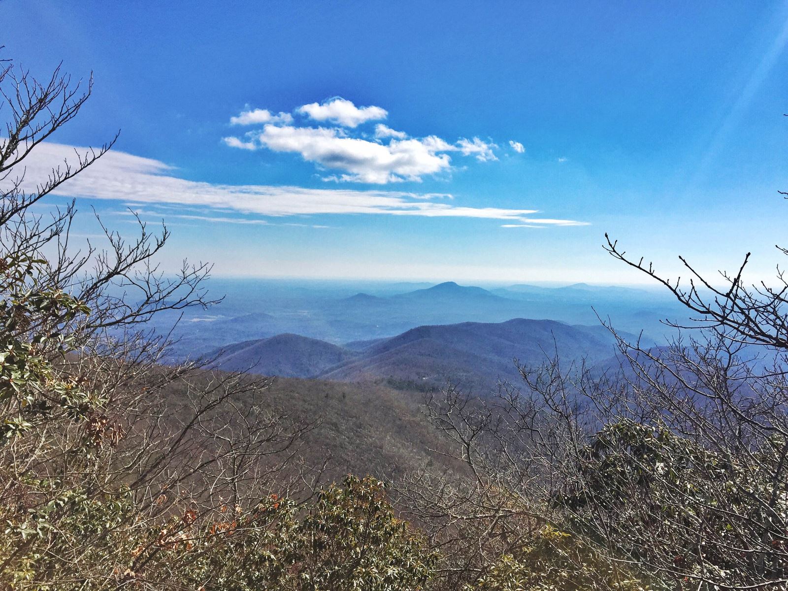View from the summit on Tray Mountain Rd